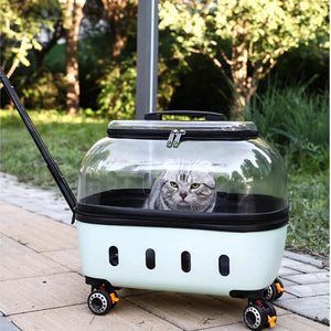 PET Transparent Carrier (Pull/Rod)