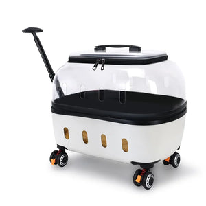 PET Transparent Carrier (Pull/Rod)