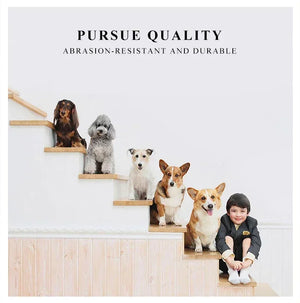 PET Travel/Carrier (Foldable) Bag
