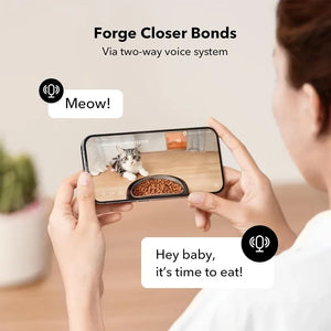 Automatic Cat Feeder with Camera (HD Video with Night Vision)