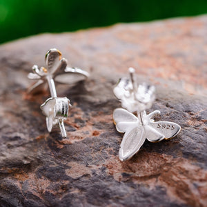 Honey Bee Stud - Earrings