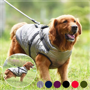 Winter Pet Waterproof - Jacket