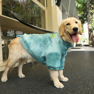 3xl dog coat shop