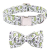 Dog Collar/Leash/Bow - Dinosaur Print