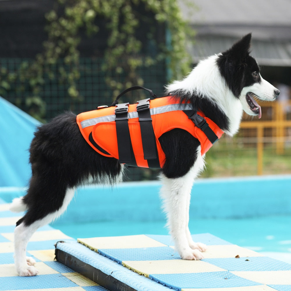 Pet Dog Life Jacket