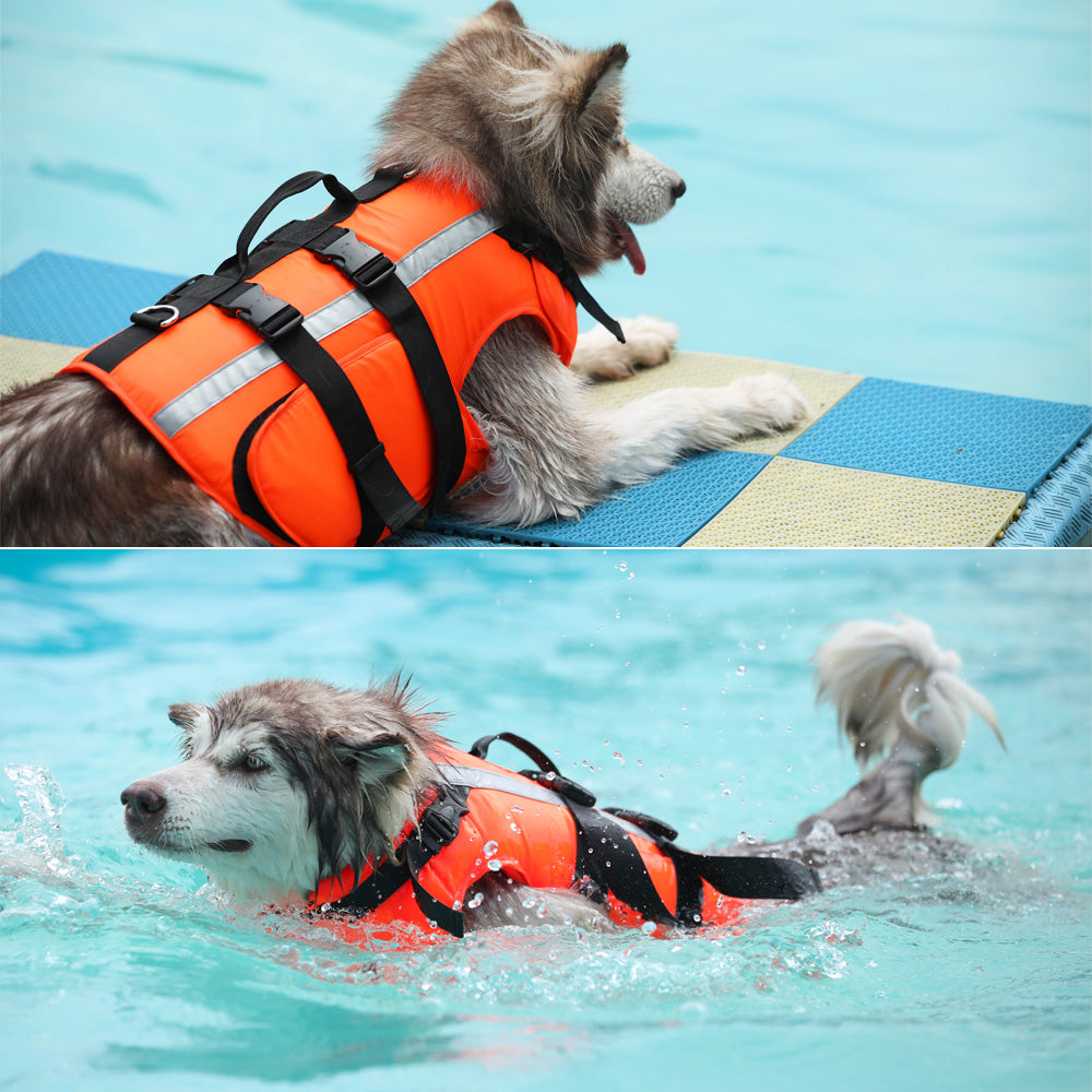 Pet Dog Life Jacket