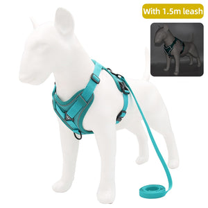 Reflective Harness with Leash