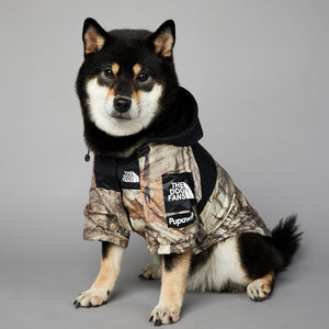 Dog Raincoat/Windproof Jacket
