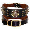 Studded Leather Dog Collars (M-L)