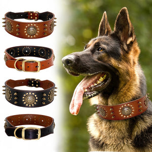 Studded Leather Dog Collars (M-L)