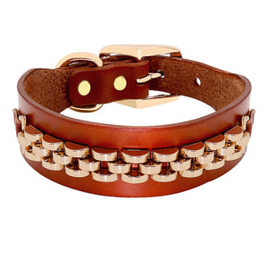 Leather Fashion Dog Collar