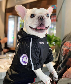 Dog Raincoat/Windproof Jacket