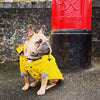 Dog/Puppy Raincoat