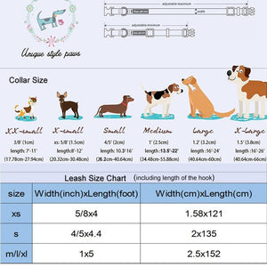 Dog Collar/Leash/Bow - Dinosaur Print