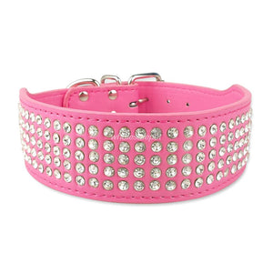 Bling Stud Leather Dog Collars