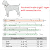  Cool & Sharp - Pet (Stud Collars) (S-XL), Collar, Star Pets Product Workshop, Miss Molly & Co. - Miss Molly & Co.