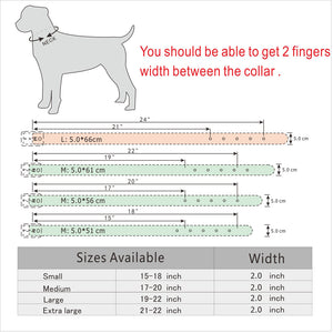  Cool & Sharp - Pet (Stud Collars) (S-XL), Collar, Star Pets Product Workshop, Miss Molly & Co. - Miss Molly & Co.