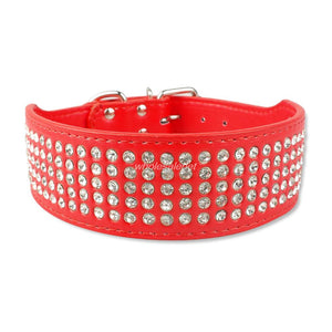 Bling Stud Leather Dog Collars