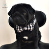 Meet Martin! - Pet Dog Collar (XS-XL)