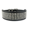 Bling Stud Leather Dog Collars
