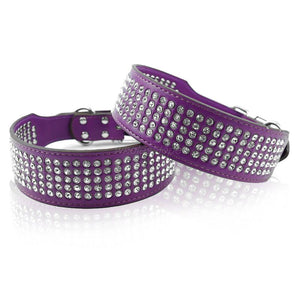 Bling Stud Leather Dog Collars