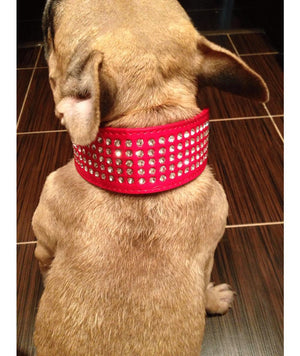 Bling Stud Leather Dog Collars