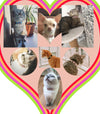 SweetHeart Pet Collars - Dog/Cat