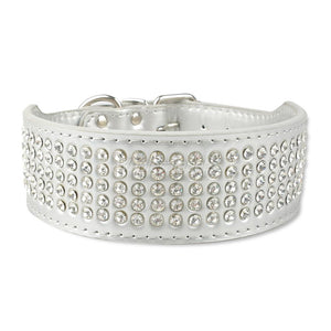 Bling Stud Leather Dog Collars