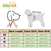  Bright Spark! - Dog Vest (XS-L), Pet Vest, Idefair Store, Miss Molly & Co. - Miss Molly & Co.