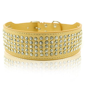 Bling Stud Leather Dog Collars