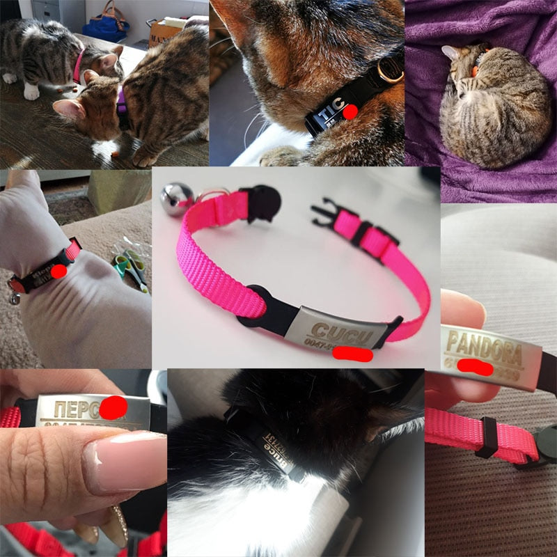 Safety Cat Collars (Free Engraving)