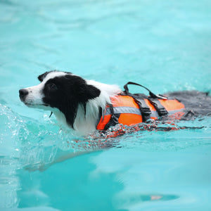 Pet Dog Life Jacket
