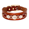 Leather Fashion Dog Collar