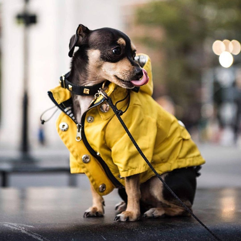 Dog/Puppy Raincoat