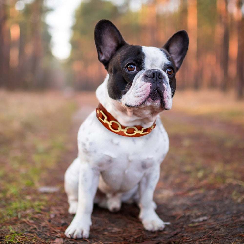 Leather Fashion Dog Collar