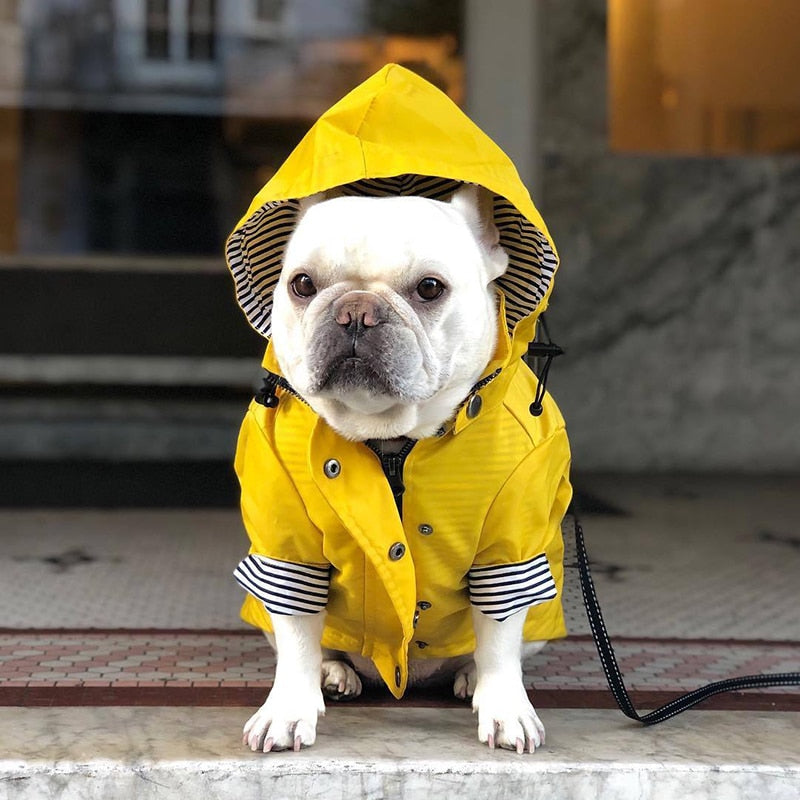 Dog/Puppy Raincoat