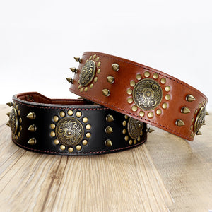 Studded Leather Dog Collars (M-L)