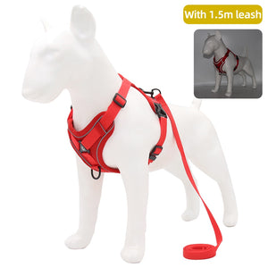 Reflective Harness with Leash
