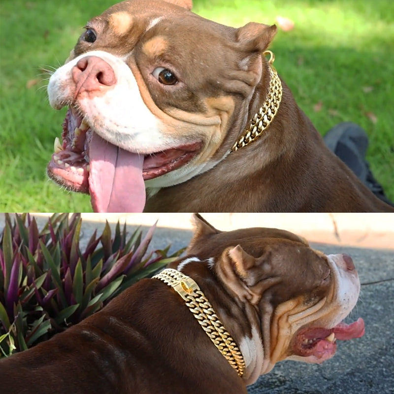 Pet Dog Chain Collar