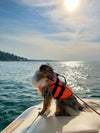 Pet Dog Life Jacket
