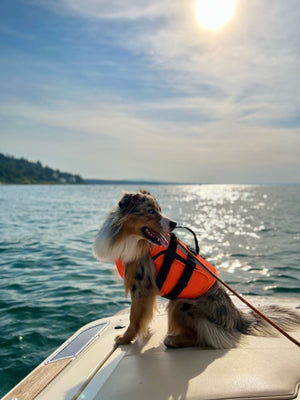Pet Dog Life Jacket