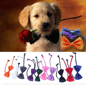 Candy Bow Collars - Dog/Cat (Adjustable)