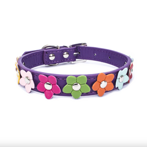 Happy Flower Pup - Pet Dog Collars (XS-L)