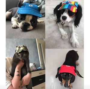 TAILUP Summer Pet Hats (S-XL)