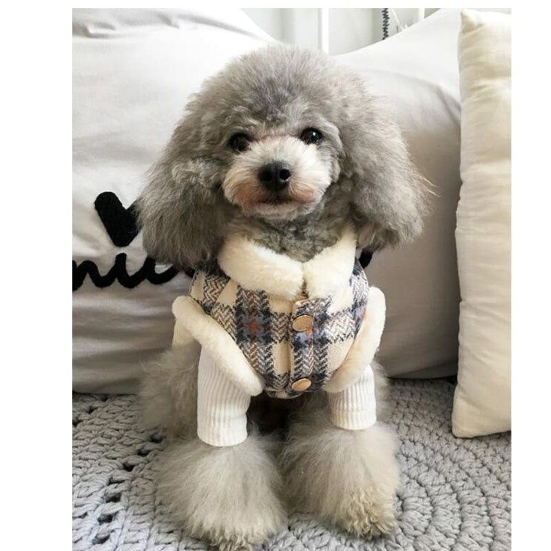 Miss Elegant - Pet Winter Coat