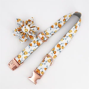 Flower Girl - Pet Collar + Lead