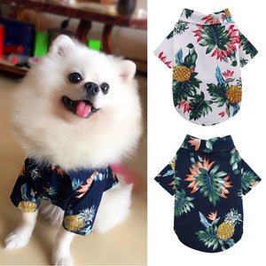 Tropical Spring - Pet Shirt