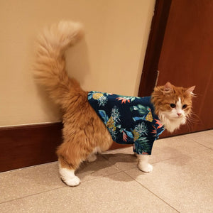 Tropical Spring - Pet Shirt