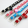 White Pearl - Cat/Dog Collar