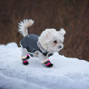 Paws for Snow - Pet Shoes (Waterproof/Reflective)